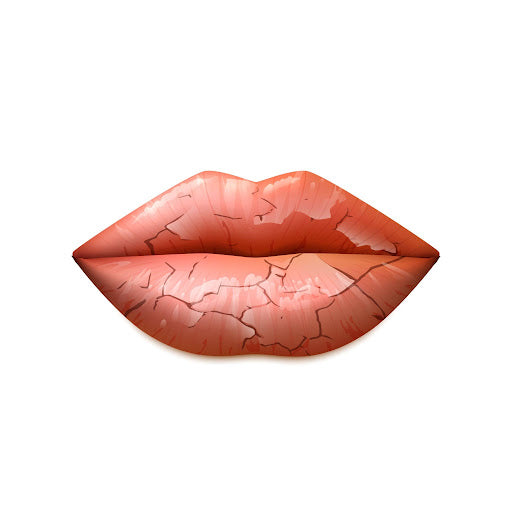 5 Signs Your Lip Barrier Is Damaged (And What To Do About It)